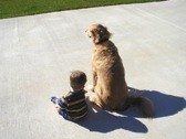 Lyme in dogs and children